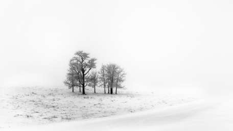 Black and white winter photo wallpaper