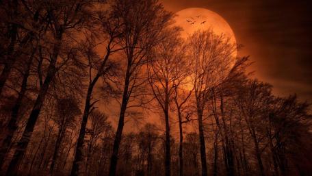 Orange full moon fantasy art wallpaper