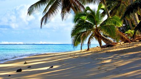 Rarotonga Island wallpaper