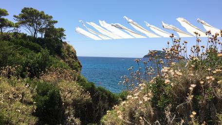 Wind blown textile wallpaper