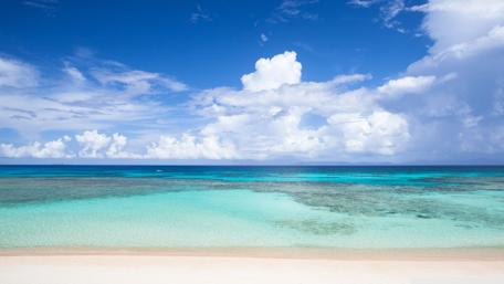 Tropical beach wallpaper