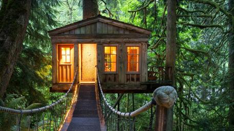 Lovely tree house wallpaper