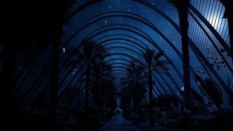 Plants under the dome - Fantsy art wallpaper