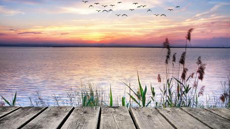 Lake view form a pier wallpaper