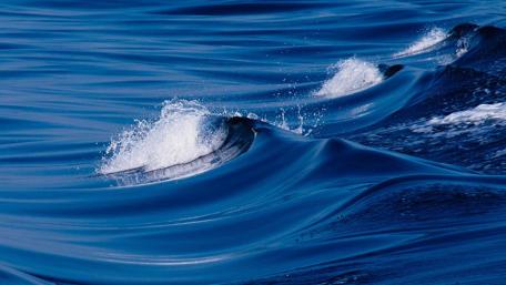 Ocean waves wallpaper