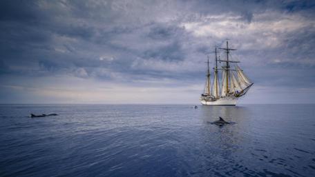 Sailing Ship wallpaper