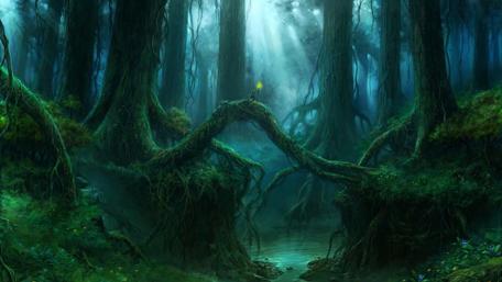 Magical night forest wallpaper