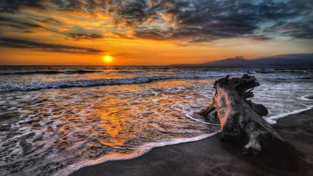 Trunk on the beach wallpaper