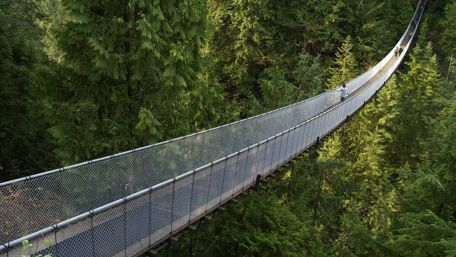 Capilano Suspension Bridge - Capilano Suspension Bridge Park, Canada wallpaper