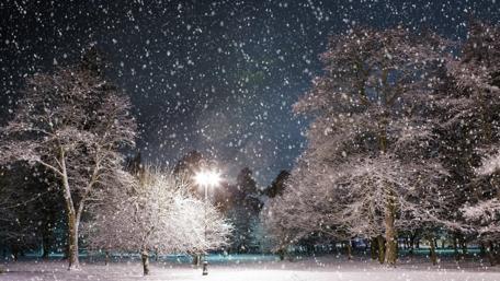 Snowy winter park at night wallpaper