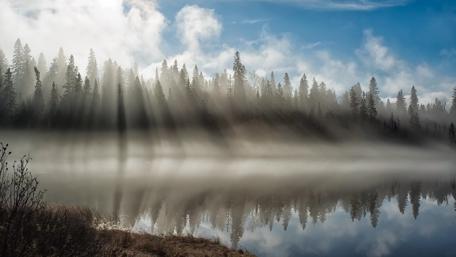 Misty morning reflection wallpaper
