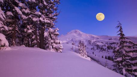 Winter full moon wallpaper