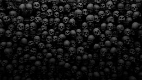 Skull art wallpaper