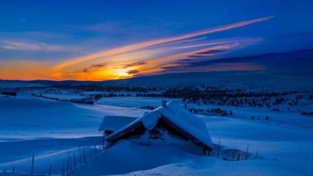 Awesome snow covered morning wallpaper