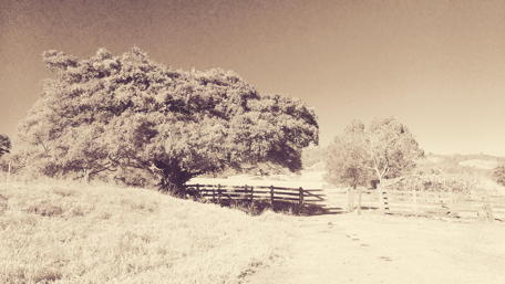 Brazilian landscape wallpaper