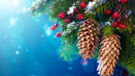 Snowy pine in the snowfall wallpaper