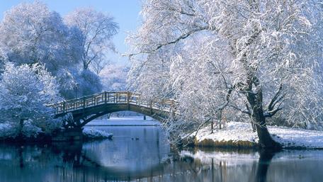 Frosty winter park wallpaper