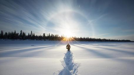 Winter sunrise wallpaper