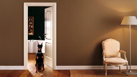 Old styled room with a dog wallpaper