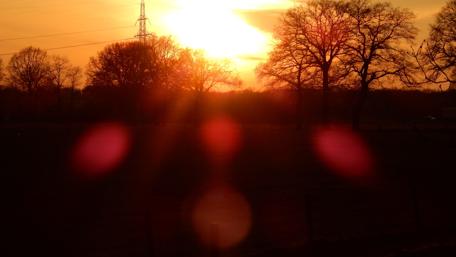 Golden Sunset Illuminating Nature's Beauty wallpaper