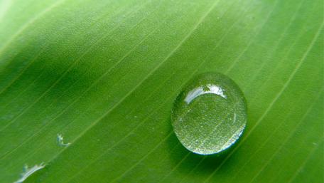 Refreshing Waterdrop on Leaf Surface wallpaper
