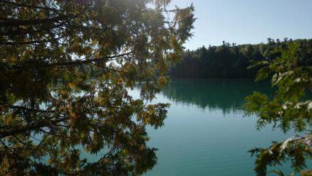 Serene Riverbank Landscape with Lush Trees and Calm Waters wallpaper