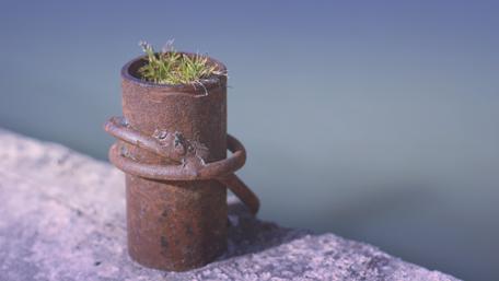 Grass in a metal tube wallpaper
