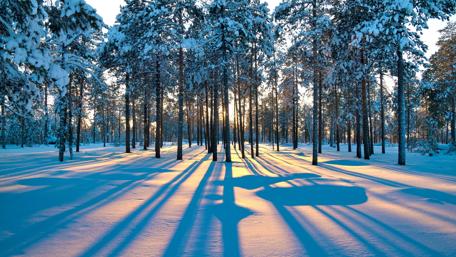 Morning shadow on the snow wallpaper