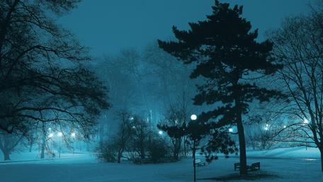 Bluish winter wallpaper