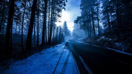 Winter sunlight on the road wallpaper