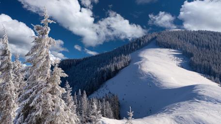 Winter landscape wallpaper