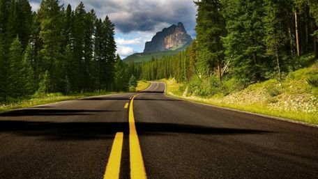 Long road in the forest wallpaper