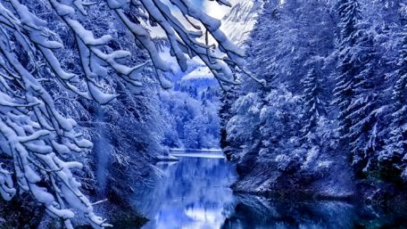 Frozen nature wallpaper