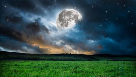 Full moon over the grass field wallpaper