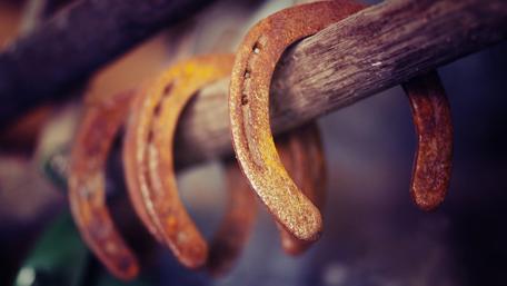 Horseshoes wallpaper