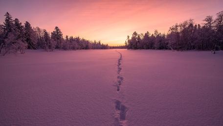 Purple winter sunset wallpaper