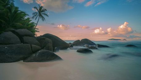 Tropical Serenity by the Ocean Shore wallpaper