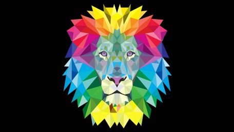 Colofrul lion head wallpaper