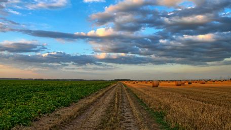 Rural area wallpaper