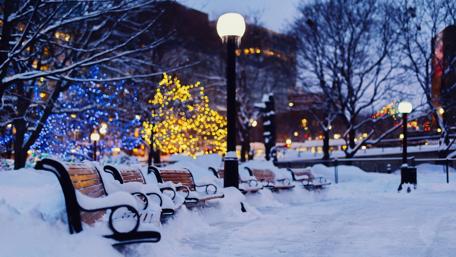 Christmas lights in the snowy park wallpaper
