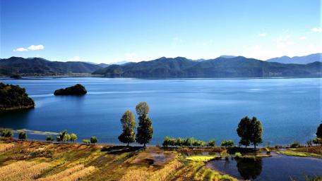 The Lover Tree on the bank of Lugu Lake wallpaper