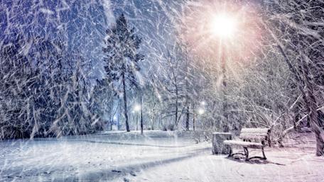 Snowfall in the park wallpaper