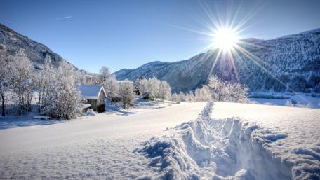 Traces in the snow wallpaper