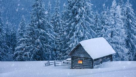 Winter Serenity in a Snowy Forest wallpaper