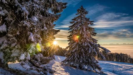 Winter sunlight wallpaper