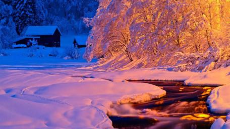 Winter light wallpaper