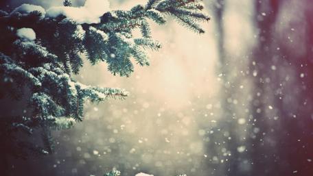 Christmas Day snowfall wallpaper