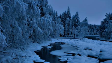 Blue winter landscape wallpaper
