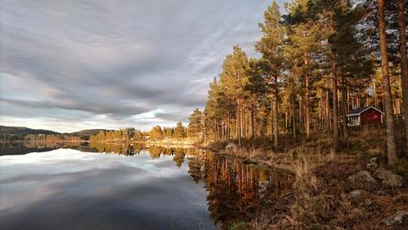 Hälsingland Province, Sweden wallpaper