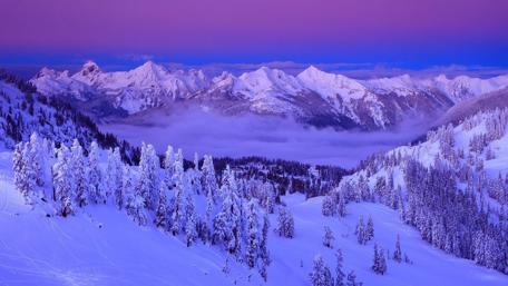 Snowy winter landscape wallpaper